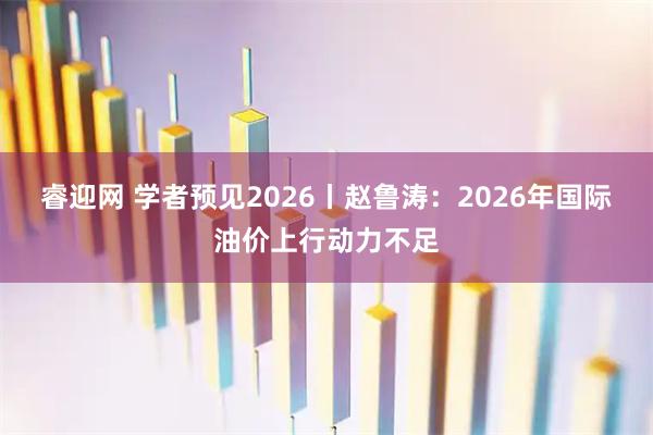 睿迎网 学者预见2026丨赵鲁涛：2026年国际油价上行动力不足