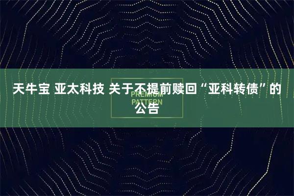 天牛宝 亚太科技 关于不提前赎回“亚科转债”的公告