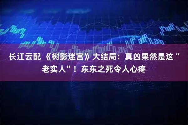 长江云配 《树影迷宫》大结局：真凶果然是这“老实人”！东东之死令人心疼
