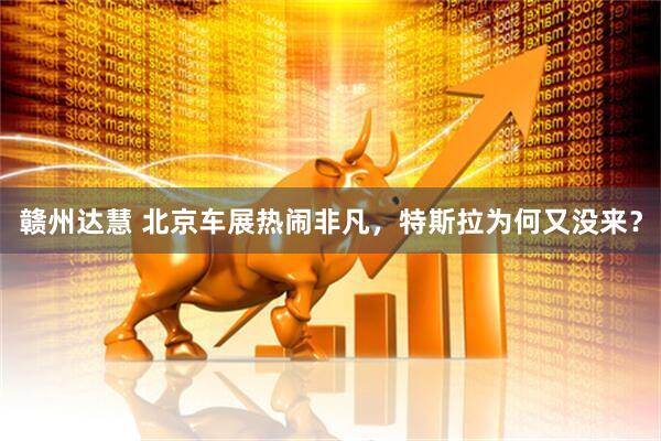 赣州达慧 北京车展热闹非凡，特斯拉为何又没来？